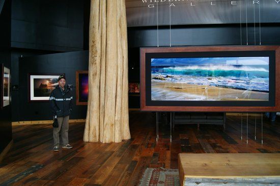 Rodney Lough Jr. San Francisco Gallery